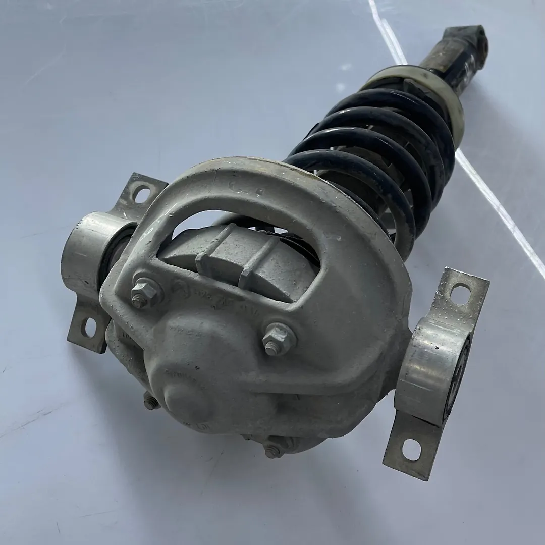 Shock Absober (LHB) - 2009 Volkswagen Touareg