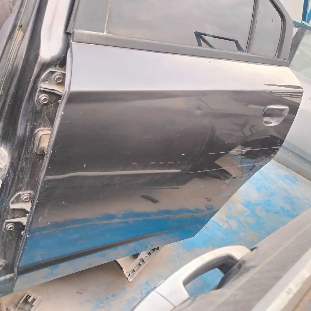 Door (LHB) - 2016 Dodge Charger