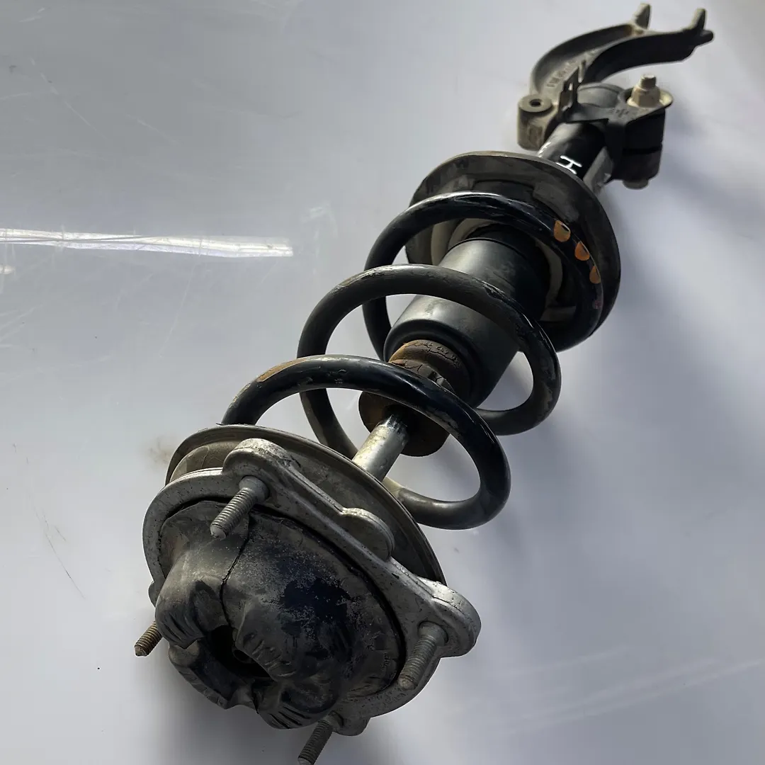 Shock Absorber (LHF) - 2013 Audi A7