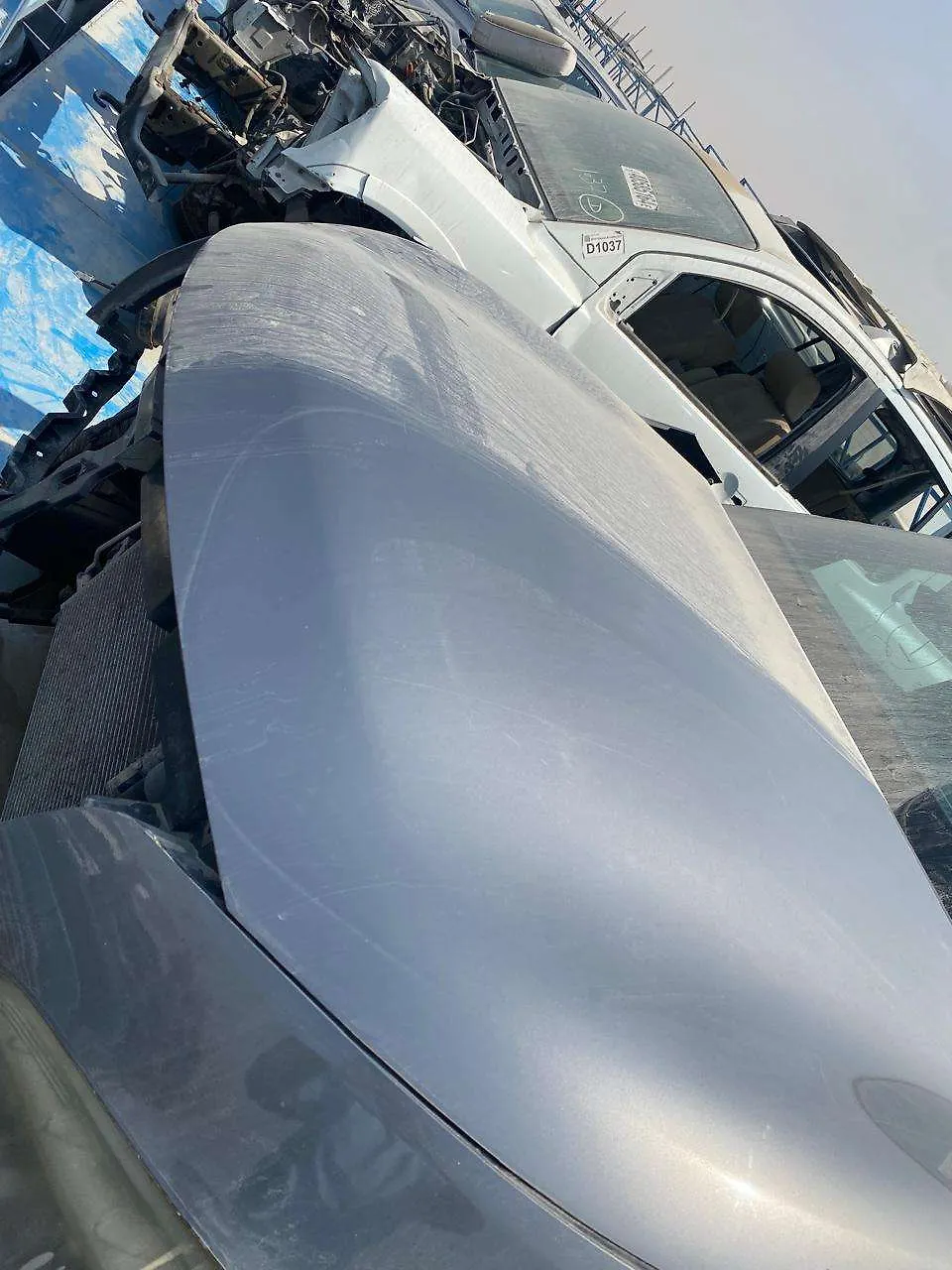 Hood/Bonnet - 2011 Infiniti QX56