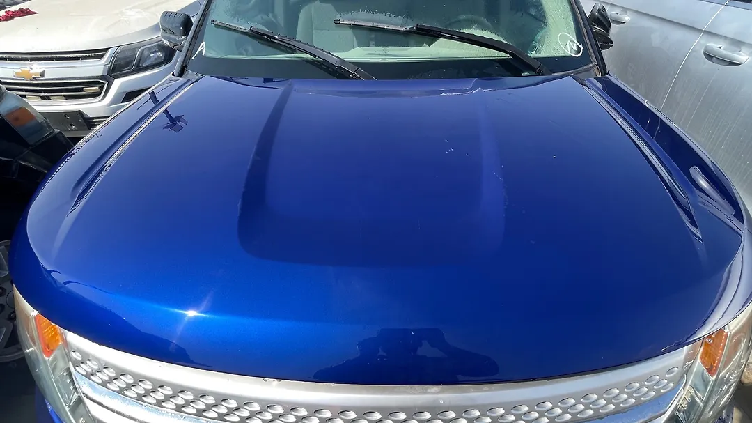 Hood/Bonnet - 2013 Ford Explorer Base