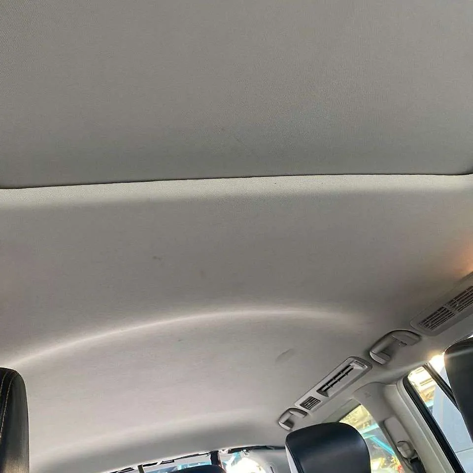 Roof Ceiling - 2017 Nissan Armada 5.6