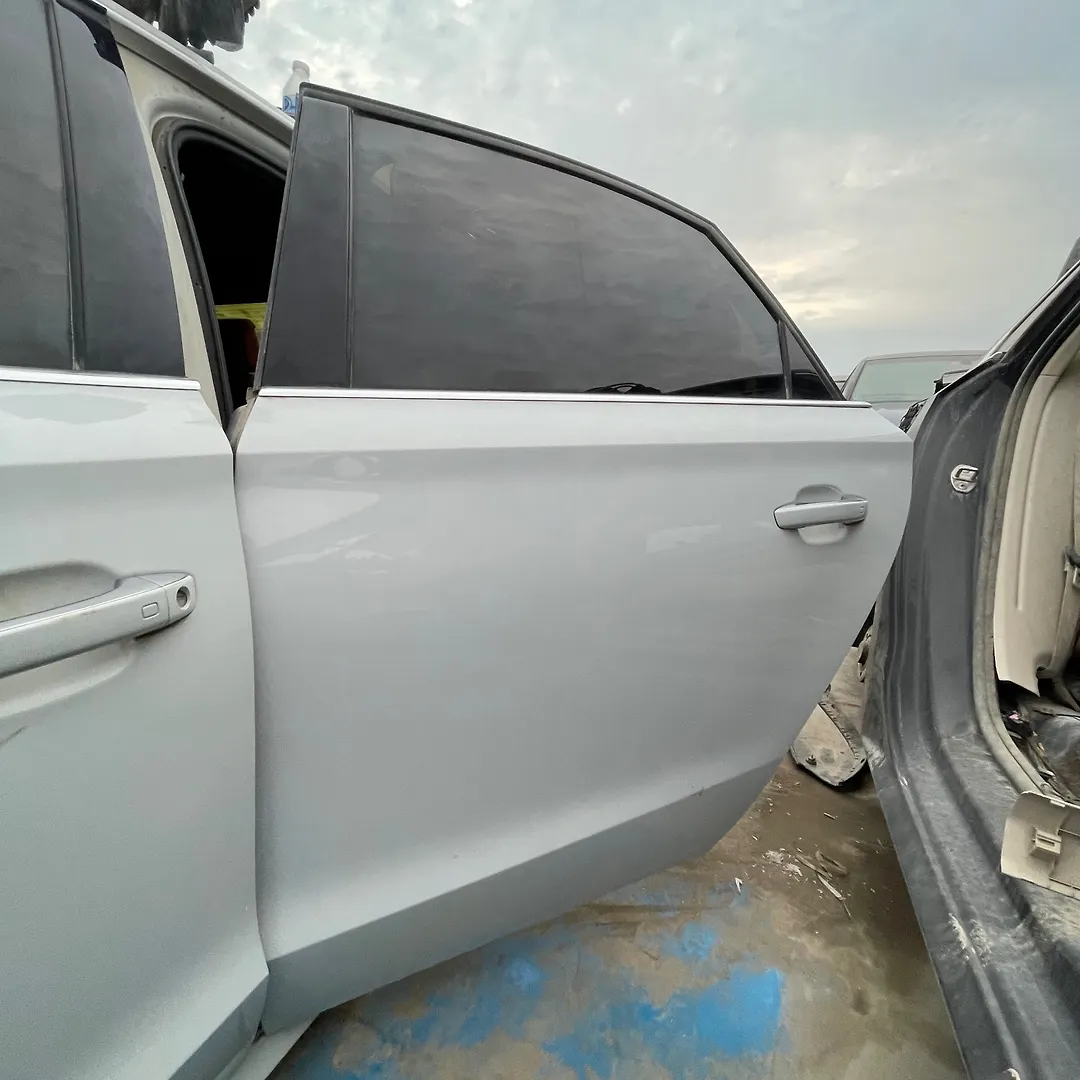 Door (LHB) - 2014 Audi S8