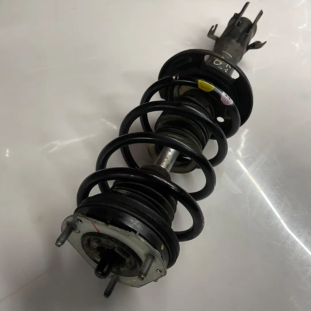 Shock Absorber (LHF) - 2014 Ford EcoSport