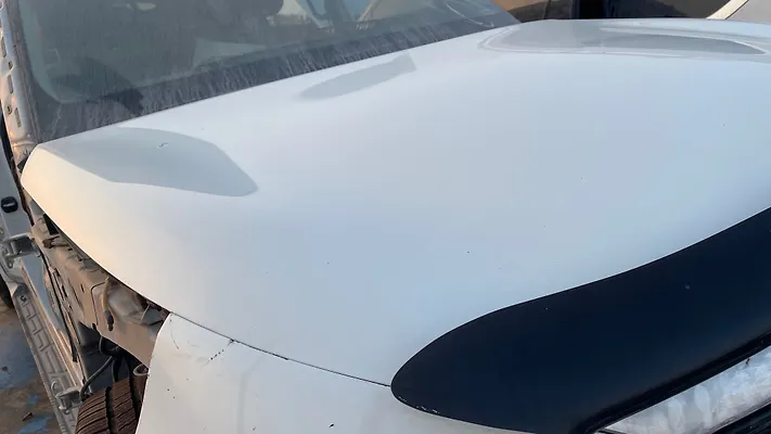Hood/Bonnet - 2012 Infiniti QX56