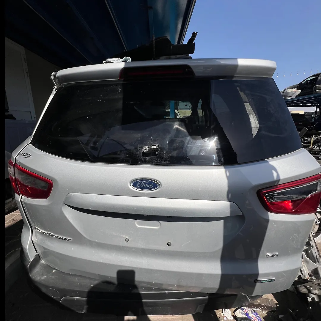 Tailgate - 2018 Ford EcoSport