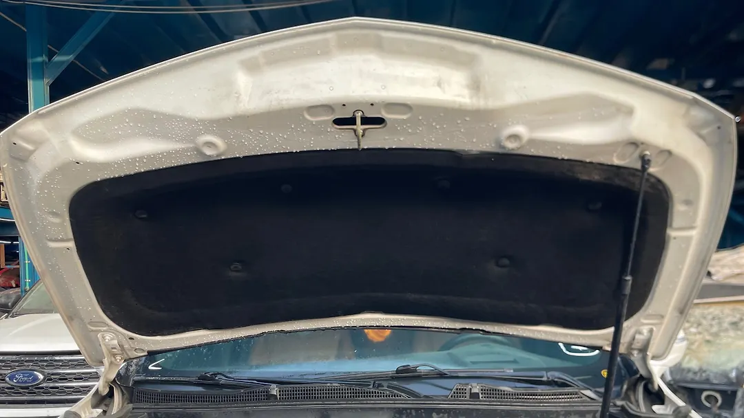 Hood/Bonnet - 2019 Cadillac XT4 2.0T