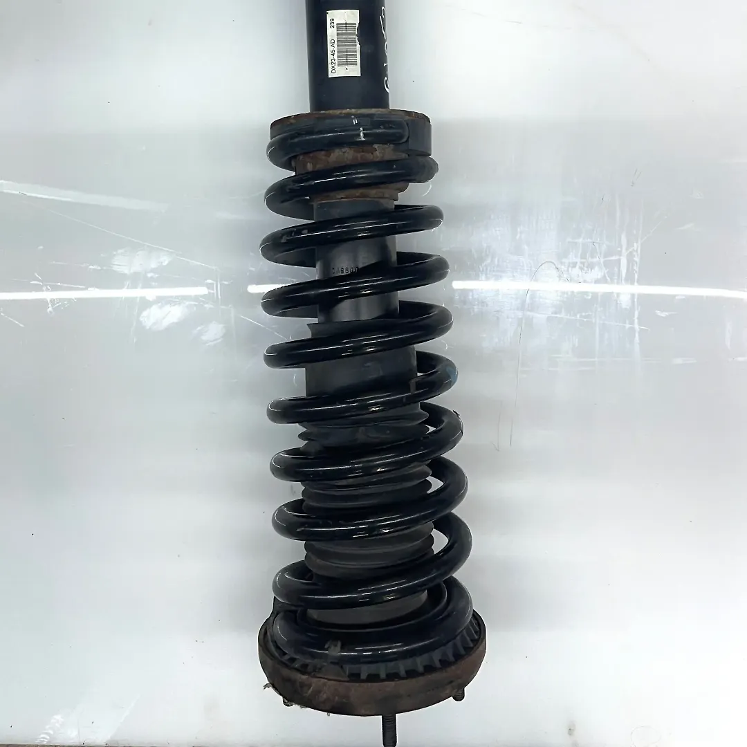 Shock absorber - 2018 Jaguar XE XE