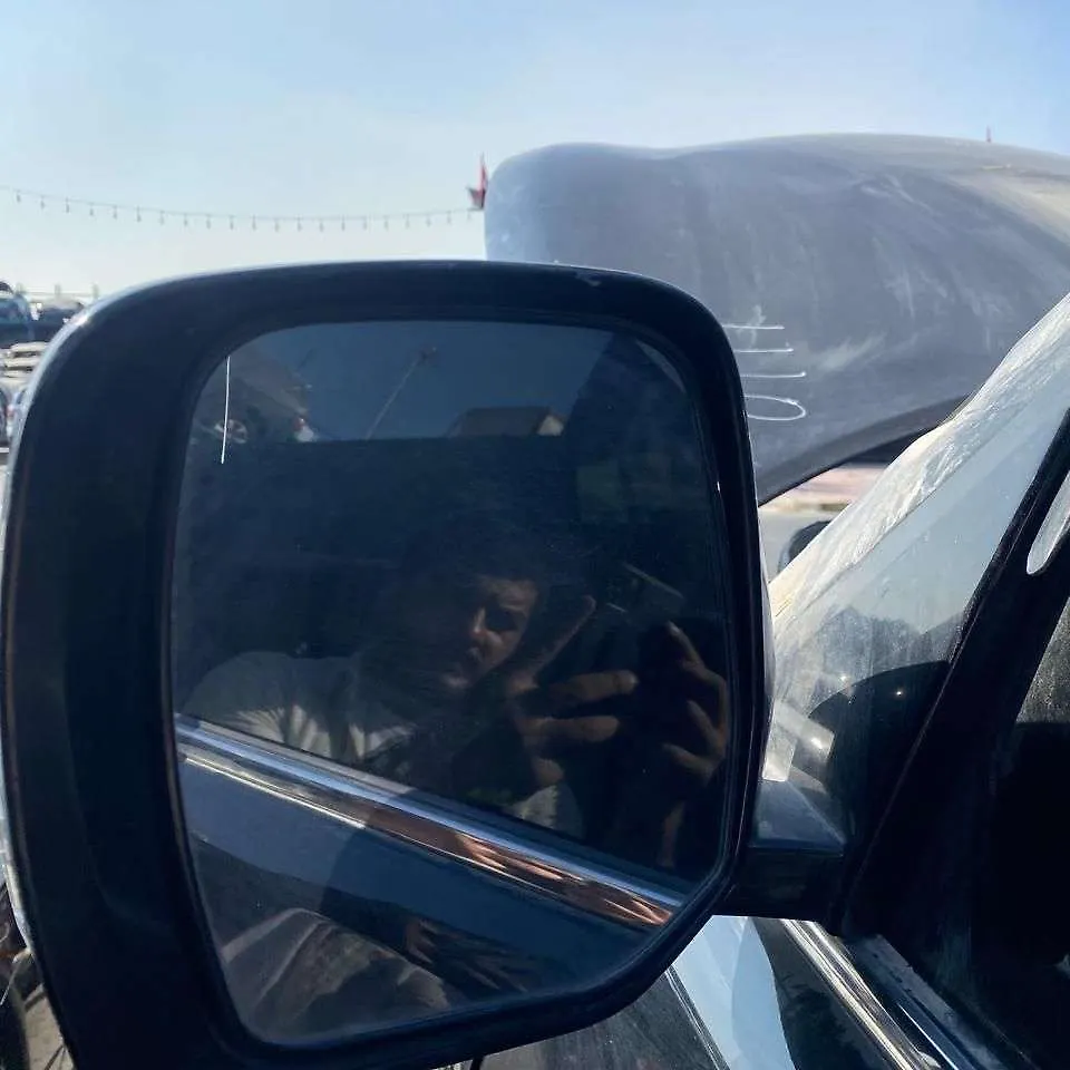 Side Mirror (LH) - 2011 Infiniti QX56