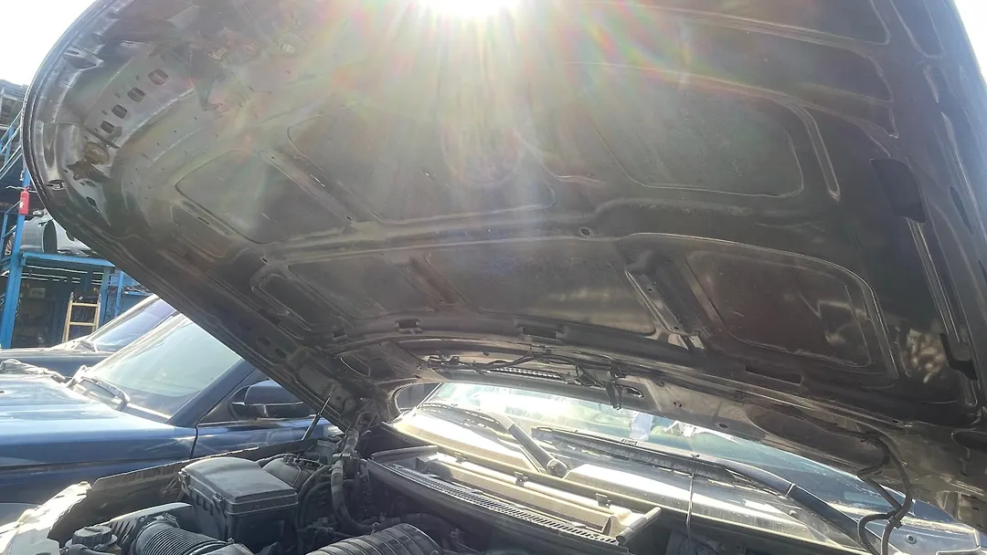 Hood/Bonnet - 2010 Land Rover RANGE ROVER HSE