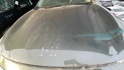 Hood/Bonnet - 2013 Infiniti JX35