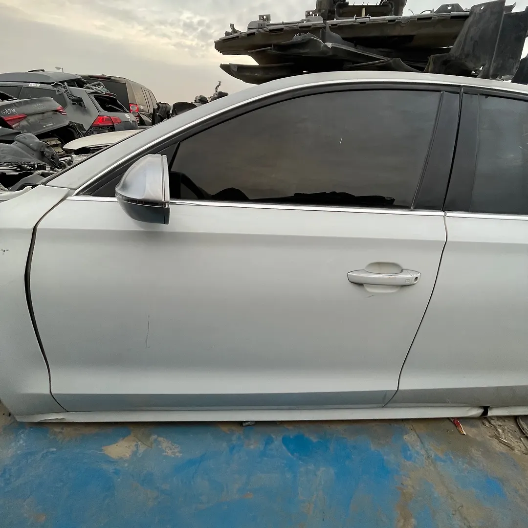 Door (LHF) - 2014 Audi S8