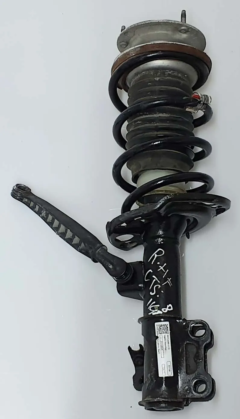 Shock Absorber (RHF) - 2018 Cadillac CTS Luxury (AWD)