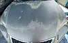 Hood/Bonnet - 2020 Lexus NX300
