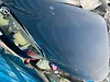 Hood/Bonnet - 2014 Infiniti QX70 3.7i