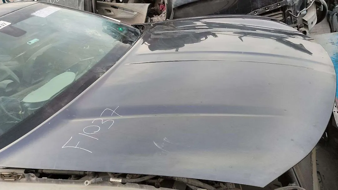 Hood/Bonnet - 2016 Dodge Charger