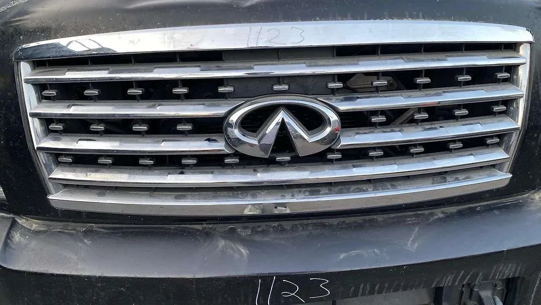 Front Bumper - 2010 Infiniti QX56 5.6i