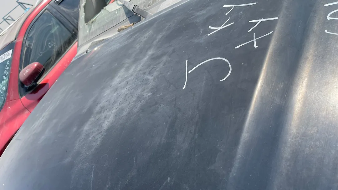 Hood/Bonnet - 2013 Nissan Armada