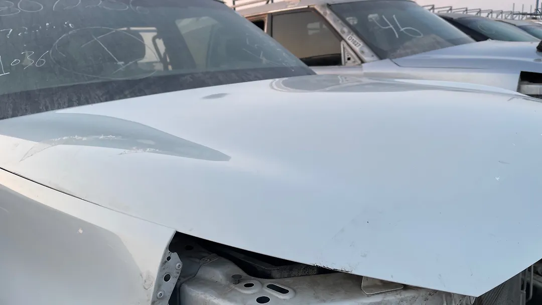 Hood/Bonnet - 2013 Infiniti QX56