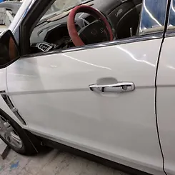 Door (LHF) - 2011 Cadillac SRX
