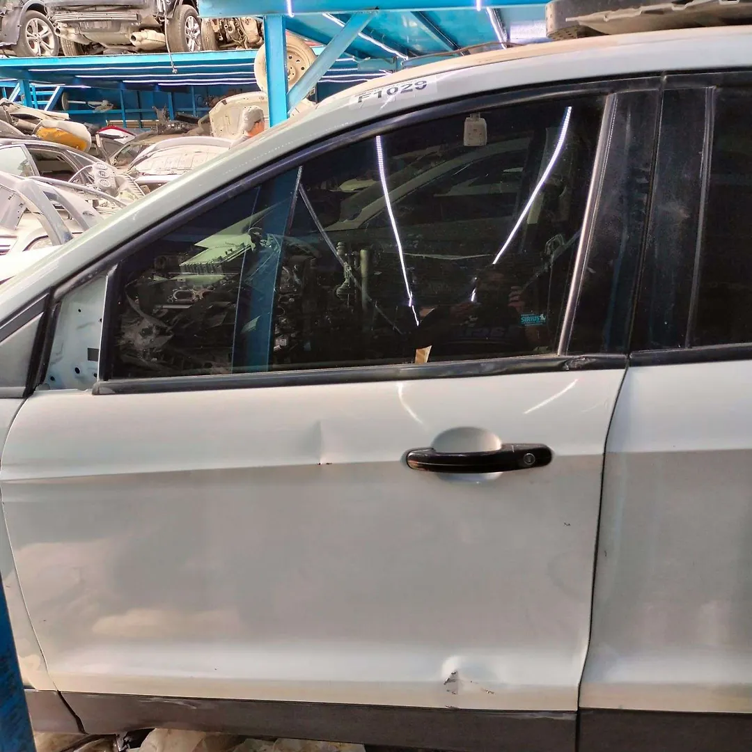 Door (LHF) - 2017 Ford Escape