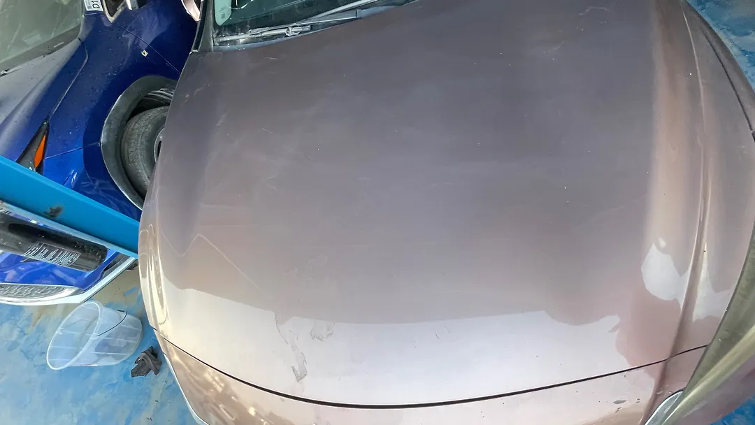 Hood/Bonnet - 2017 Infiniti QX30 2.0t