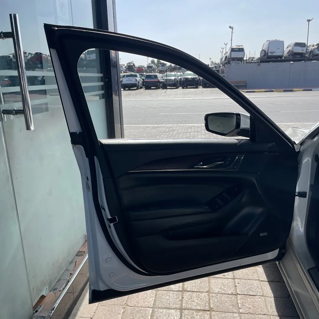 Door (LHF) - 2017 Cadillac CTS Luxury