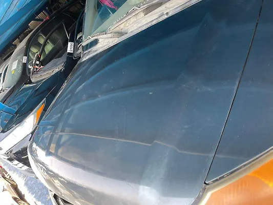 Hood/Bonnet - 2010 Nissan Armada