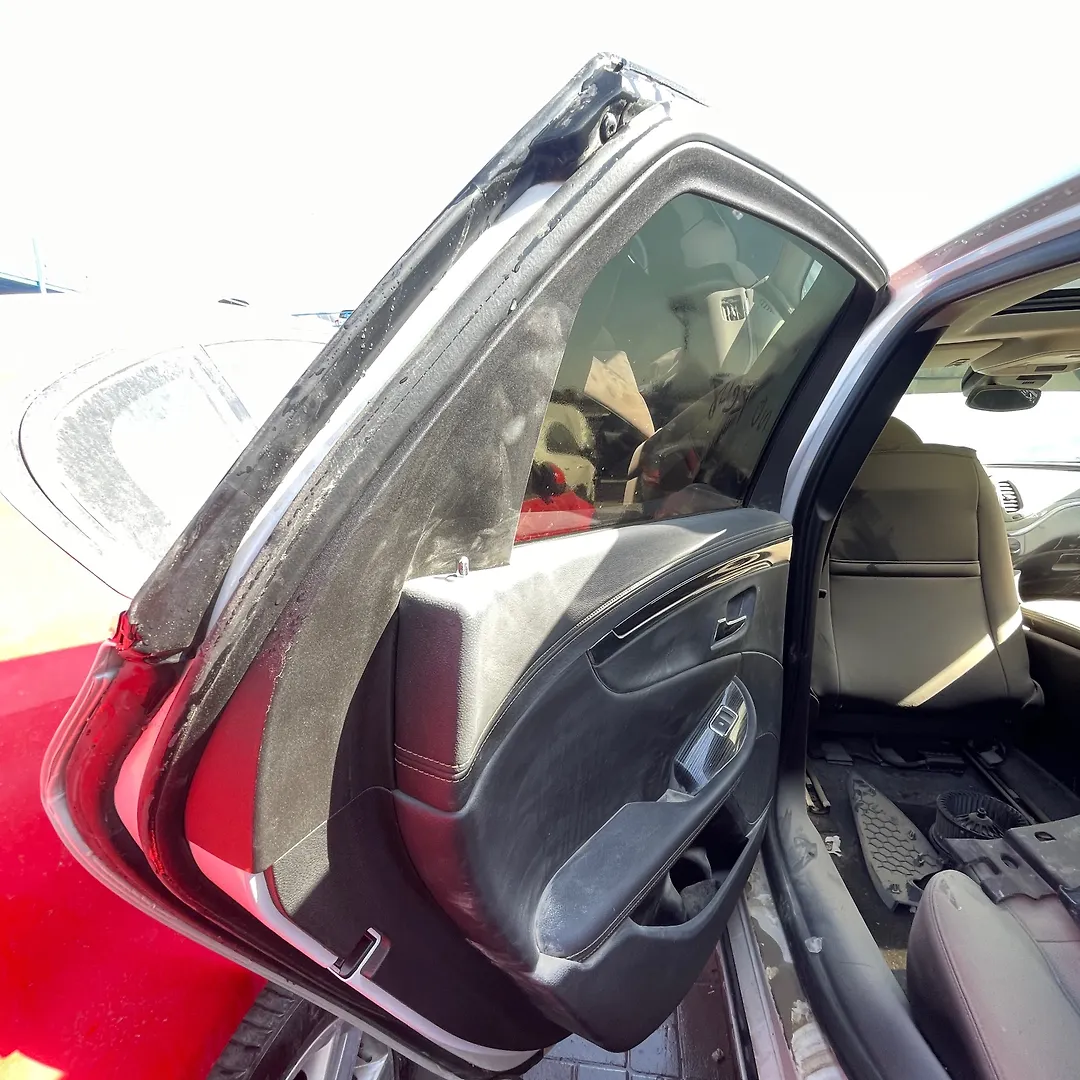 Door (LHB) - 2017 Chevrolet Impala