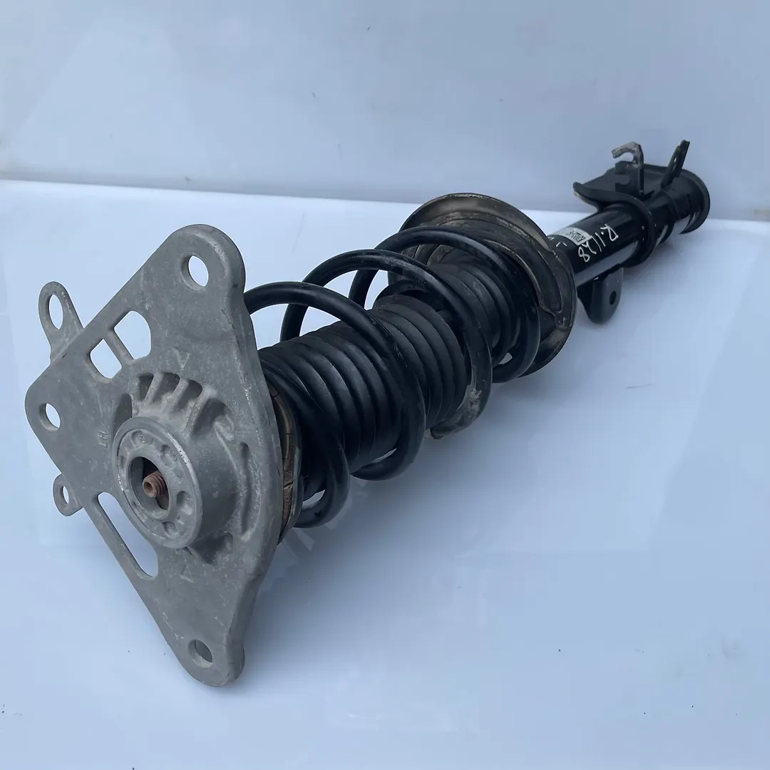 Shock Absober (LHB) - 2018 Jeep Compass