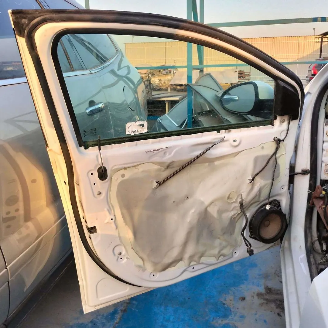 Door (LHF) - 2017 Chevrolet Sonic