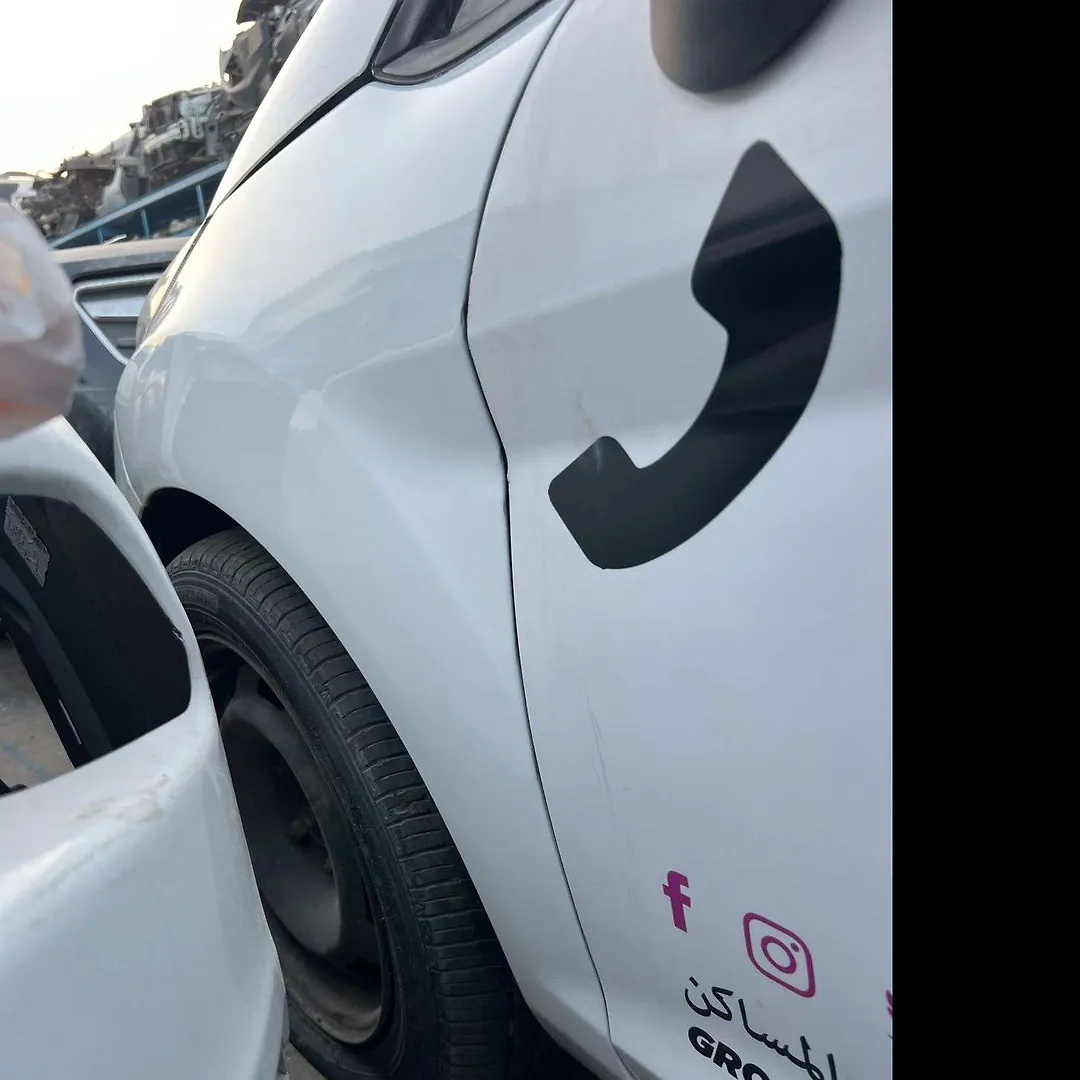 Fender (LHF) - 2015 Ford Fiesta