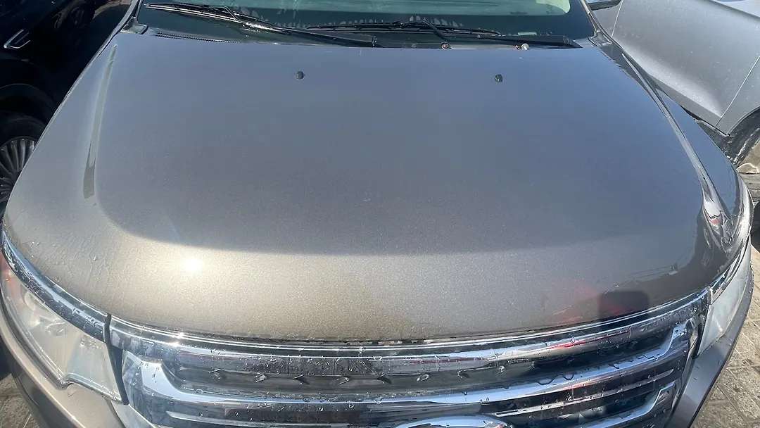 Hood/Bonnet - 2014 Ford Edge Limited