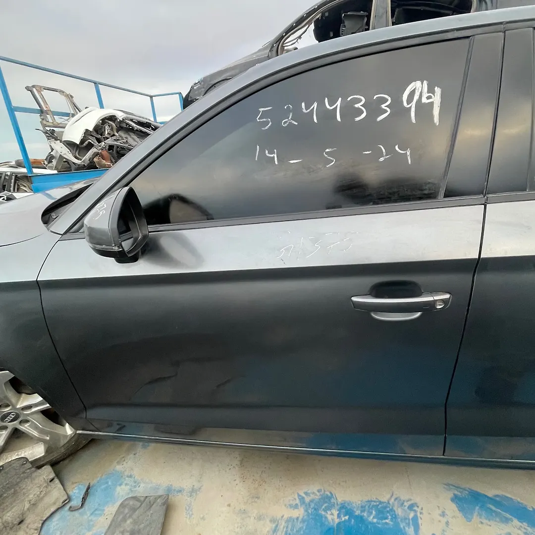Door (LHF) - 2018 Audi A3