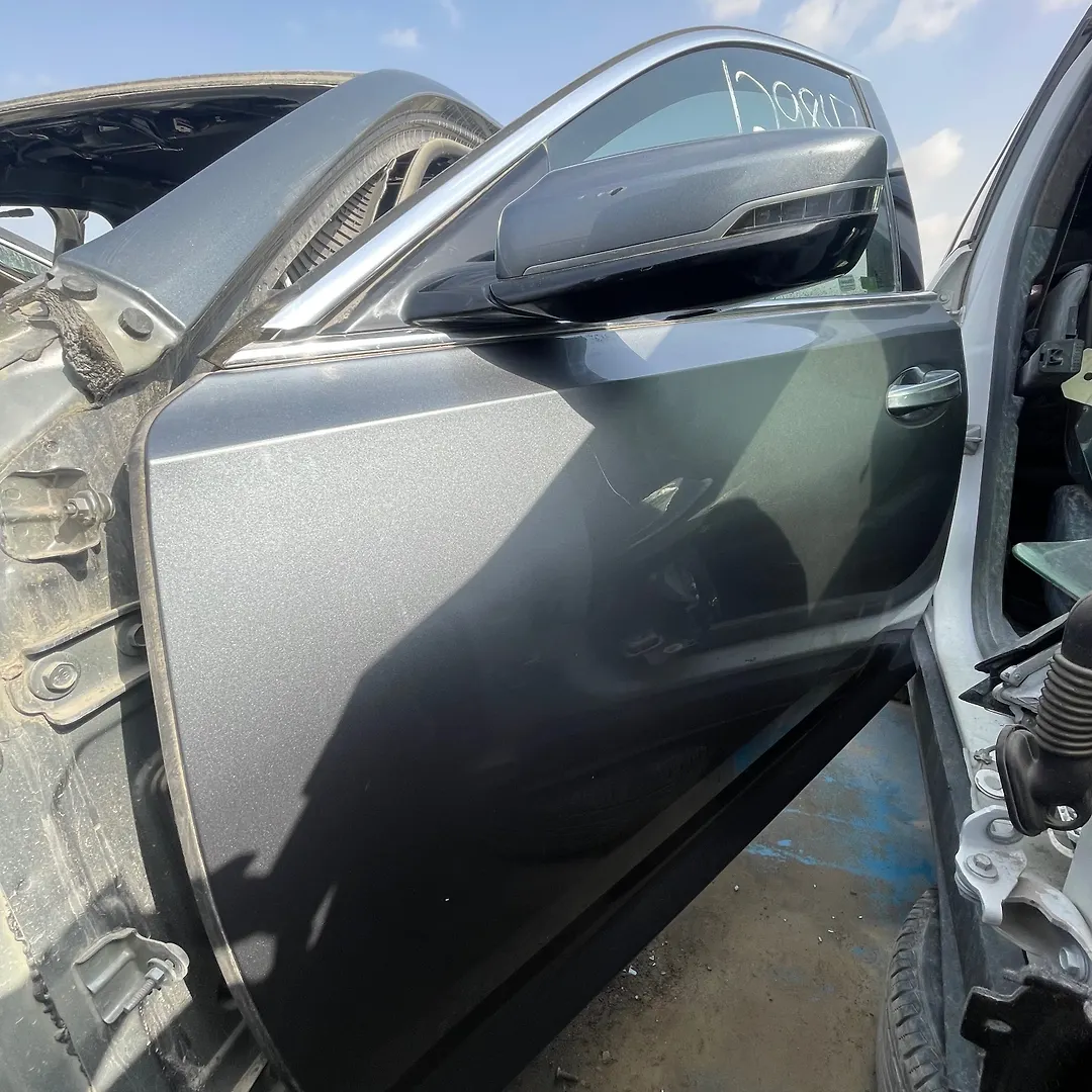 Door (LHF) - 2020 Cadillac CT5