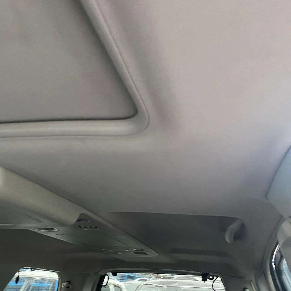 Roof Ceiling - 2010 Infiniti QX56 5.6i