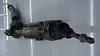 Steering box/rack - 2020 Audi A7