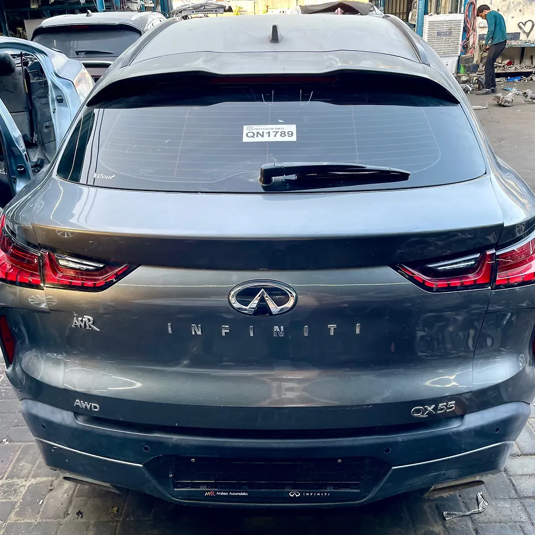 Trunk/hatch/tailgate - 2023 Infiniti QX55