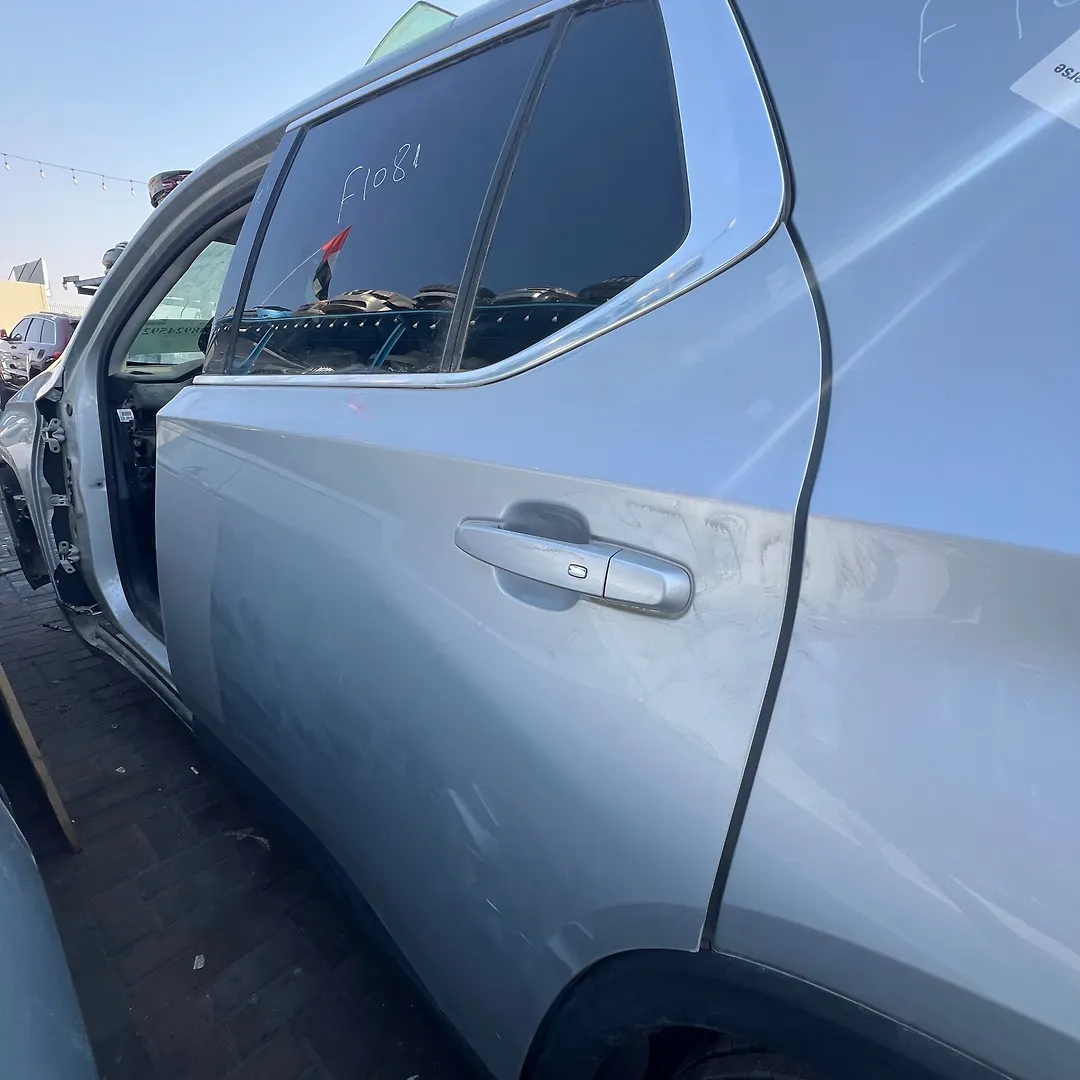 Door (LHB) - 2020 Chevrolet Traverse