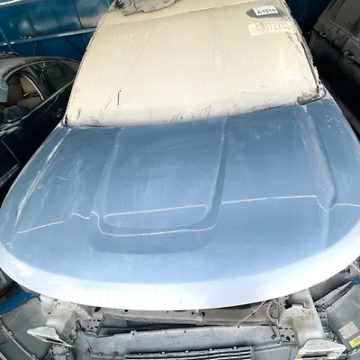 Hood/Bonnet - 2011 Ford Explorer