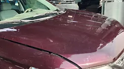 Hood/Bonnet - 2019 Chevrolet Traverse