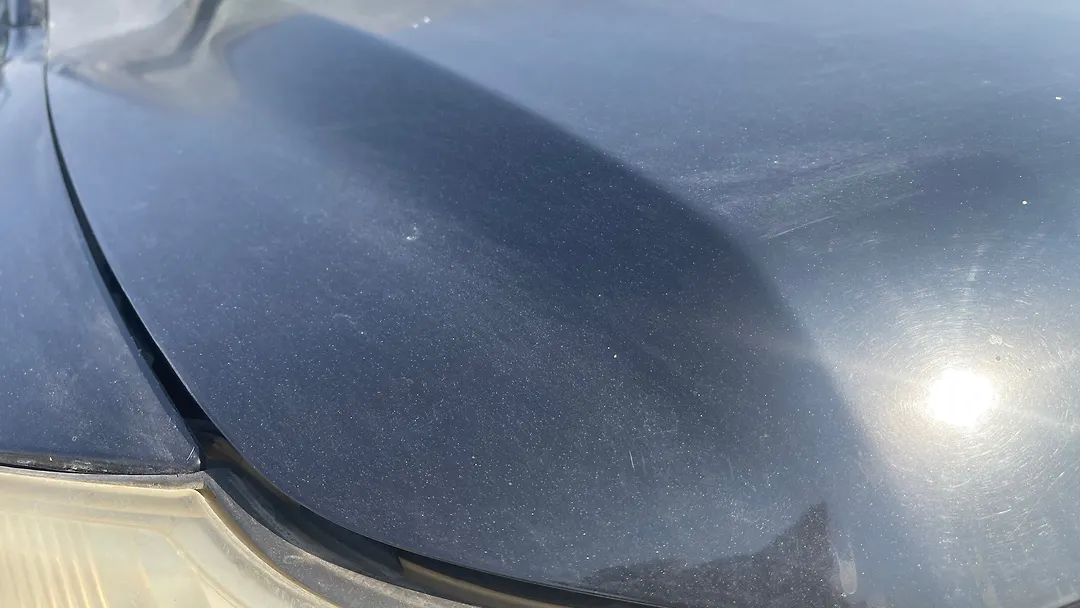 Hood/Bonnet - 2006 Nissan Armada