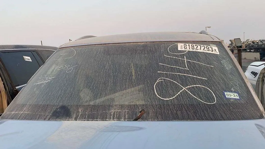Windshield glass - 2019 Infiniti QX80 Crossover