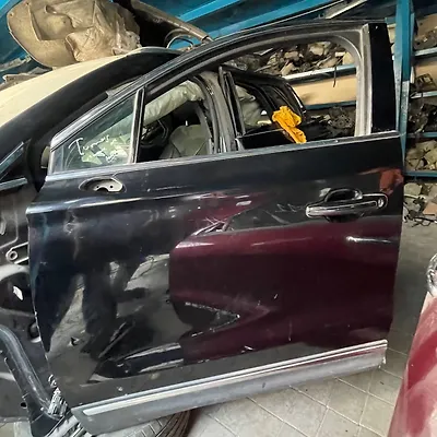 Door (LHF) - 2016 Lincoln MKC
