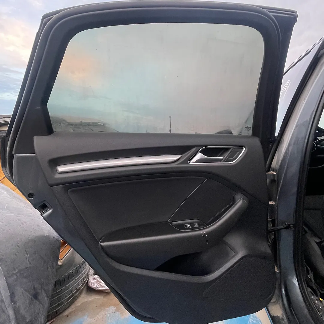 Door (LHB) - 2018 Audi A3