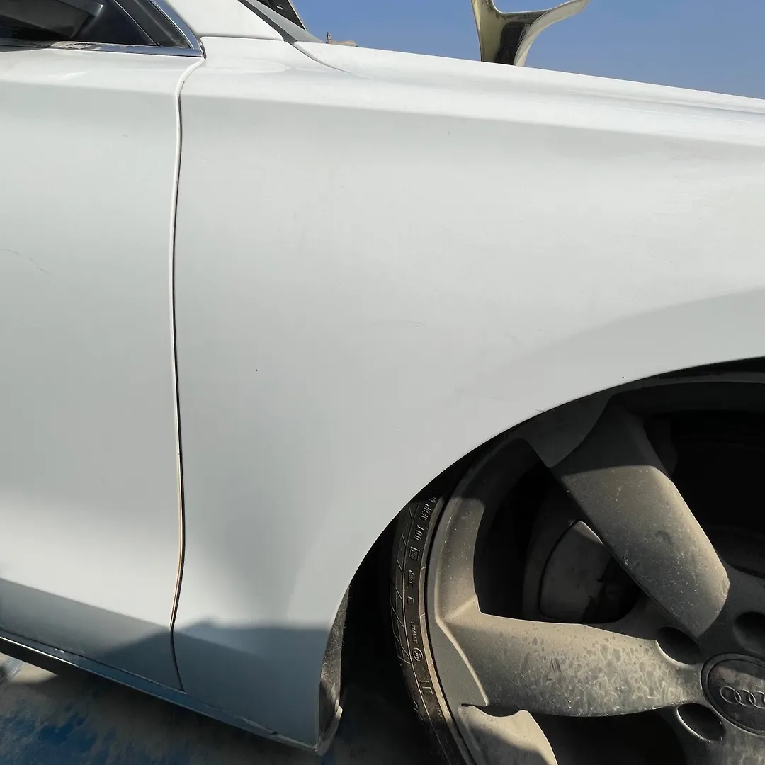 Fender (RHF) - 2012 Audi A8