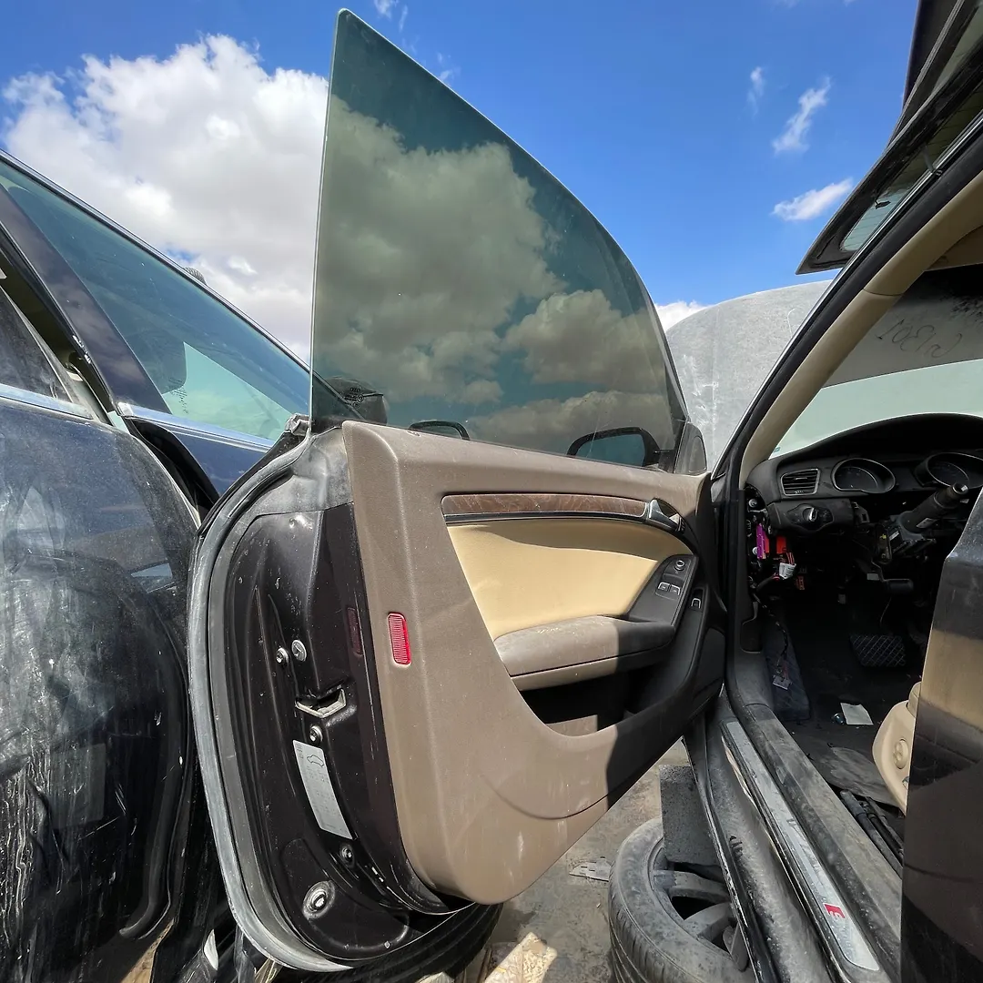 Door (LHF) - 2014 Audi A5