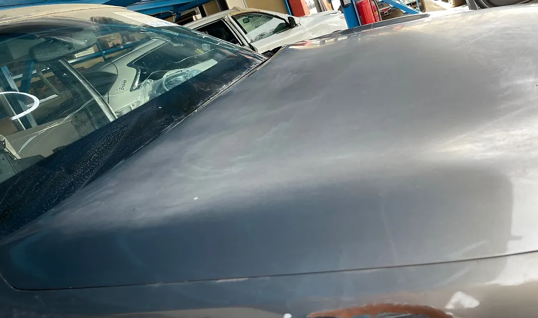Hood/Bonnet - 2013 Infiniti QX56