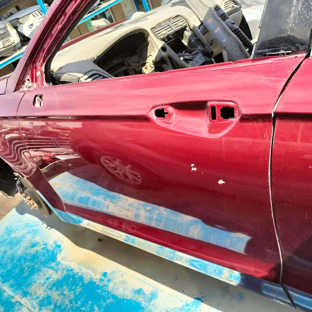 Door (LHF) - 2017 Ford Fusion