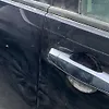 Door (LHF) - 2010 Infiniti QX56 5.6i
